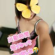 ヒメ日記 2025/12/04 10:37 投稿 近藤ゆか 越谷デリヘル エトワ