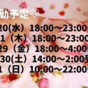 ヒメ日記 2024/11/19 14:29 投稿 恋乃実(このみ) 難波泡洗体ハイブリッドエステ