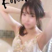 ヒメ日記 2025/03/12 19:21 投稿 恋乃実(このみ) 難波泡洗体ハイブリッドエステ