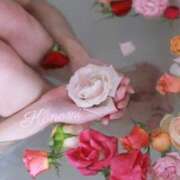 ヒメ日記 2025/09/15 14:00 投稿 恋乃実(このみ) 梅田泡洗体ハイブリッドエステ