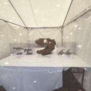 そら しゅっきん🦖🐾 池袋S級素人派遣型東京美少女物語