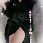 あかり 🍁 いまーす 🍁 横浜人妻セレブリティ（ユメオト）