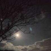 ヒメ日記 2024/12/17 21:08 投稿 なほ 浜松人妻なでしこ(カサブランカグループ)