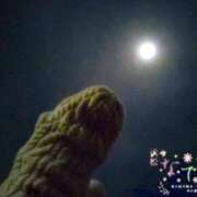 ヒメ日記 2025/03/10 21:22 投稿 なほ 浜松人妻なでしこ(カサブランカグループ)