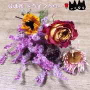 ヒメ日記 2025/05/06 08:04 投稿 なほ 浜松人妻なでしこ(カサブランカグループ)