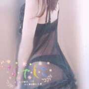 ヒメ日記 2025/11/09 15:50 投稿 なほ 浜松人妻なでしこ(カサブランカグループ)