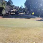 ヒメ日記 2025/12/28 12:40 投稿 なほ 浜松人妻なでしこ(カサブランカグループ)