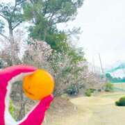 ヒメ日記 2026/03/23 12:06 投稿 なほ 浜松人妻なでしこ(カサブランカグループ)