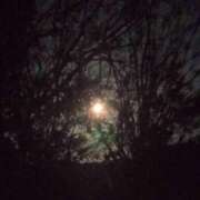 ヒメ日記 2026/04/03 07:58 投稿 なほ 浜松人妻なでしこ(カサブランカグループ)