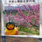 ヒメ日記 2025/05/01 15:49 投稿 もえ 完熟ばなな札幌・すすきの