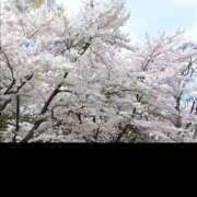 ヒメ日記 2025/05/03 15:19 投稿 もえ 完熟ばなな札幌・すすきの