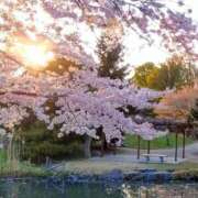 ヒメ日記 2025/05/06 19:20 投稿 もえ 完熟ばなな札幌・すすきの