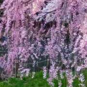 ヒメ日記 2025/05/07 08:59 投稿 もえ 完熟ばなな札幌・すすきの