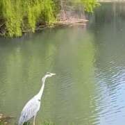 ヒメ日記 2025/05/12 15:39 投稿 もえ 完熟ばなな札幌・すすきの