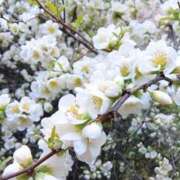 ヒメ日記 2025/05/19 14:39 投稿 もえ 完熟ばなな札幌・すすきの