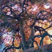 ヒメ日記 2025/05/20 16:19 投稿 もえ 完熟ばなな札幌・すすきの