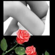 ヒメ日記 2025/05/24 21:19 投稿 もえ 完熟ばなな札幌・すすきの