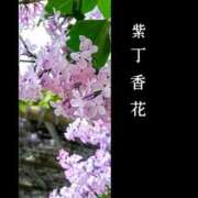 ヒメ日記 2025/05/25 12:59 投稿 もえ 完熟ばなな札幌・すすきの