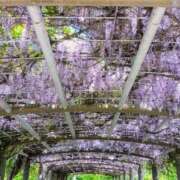 ヒメ日記 2025/05/28 14:59 投稿 もえ 完熟ばなな札幌・すすきの