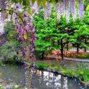 ヒメ日記 2025/05/31 21:15 投稿 もえ 完熟ばなな札幌・すすきの