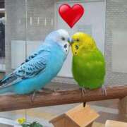 ヒメ日記 2025/06/09 19:07 投稿 もえ 完熟ばなな札幌・すすきの