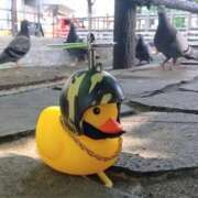 ヒメ日記 2025/06/10 21:19 投稿 もえ 完熟ばなな札幌・すすきの