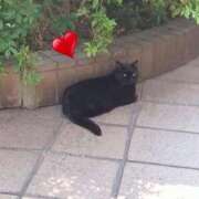 ヒメ日記 2025/07/01 14:09 投稿 もえ 完熟ばなな札幌・すすきの