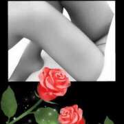 ヒメ日記 2025/08/19 01:09 投稿 もえ 完熟ばなな札幌・すすきの