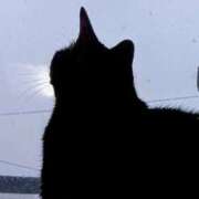 ヒメ日記 2025/10/28 16:29 投稿 もえ 完熟ばなな札幌・すすきの