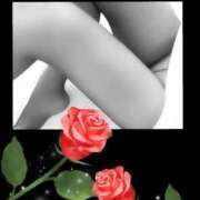 ヒメ日記 2025/11/04 18:50 投稿 もえ 完熟ばなな札幌・すすきの