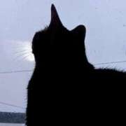 ヒメ日記 2025/11/28 18:29 投稿 もえ 完熟ばなな札幌・すすきの