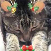 ヒメ日記 2025/12/04 18:19 投稿 もえ 完熟ばなな札幌・すすきの