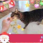 ヒメ日記 2025/12/07 15:49 投稿 もえ 完熟ばなな札幌・すすきの