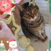 ヒメ日記 2025/12/08 01:29 投稿 もえ 完熟ばなな札幌・すすきの