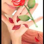 ヒメ日記 2025/12/13 22:49 投稿 もえ 完熟ばなな札幌・すすきの