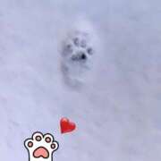 ヒメ日記 2025/12/28 16:59 投稿 もえ 完熟ばなな札幌・すすきの