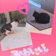 ヒメ日記 2025/12/30 21:19 投稿 もえ 完熟ばなな札幌・すすきの