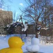 ヒメ日記 2026/01/24 18:18 投稿 もえ 完熟ばなな札幌・すすきの