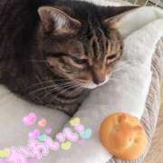 ヒメ日記 2026/01/28 19:05 投稿 もえ 完熟ばなな札幌・すすきの