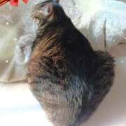 ヒメ日記 2026/02/22 13:29 投稿 もえ 完熟ばなな札幌・すすきの