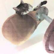 ヒメ日記 2026/02/26 16:09 投稿 もえ 完熟ばなな札幌・すすきの