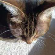 ヒメ日記 2026/02/28 15:19 投稿 もえ 完熟ばなな札幌・すすきの