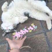 ヒメ日記 2026/03/05 20:39 投稿 もえ 完熟ばなな札幌・すすきの