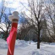 ヒメ日記 2026/03/10 13:49 投稿 もえ 完熟ばなな札幌・すすきの