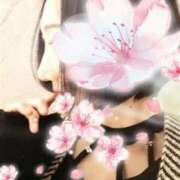ヒメ日記 2026/04/11 18:19 投稿 もえ 完熟ばなな札幌・すすきの