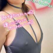 ヒメ日記 2024/12/18 18:27 投稿 めいさ One More 奥様　五反田店