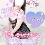 ヒメ日記 2025/02/02 11:17 投稿 めいさ One More 奥様　五反田店