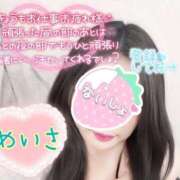 ヒメ日記 2025/02/04 20:07 投稿 めいさ One More 奥様　五反田店