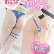 ヒメ日記 2025/02/09 15:27 投稿 めいさ One More 奥様　五反田店