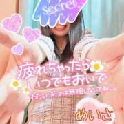 ヒメ日記 2025/03/22 00:03 投稿 めいさ One More 奥様　五反田店